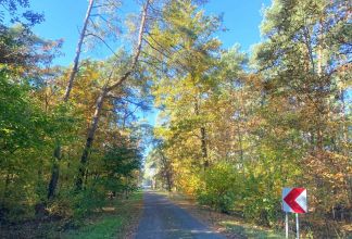 Malownicza działka ns sprzedaż gm. Krzymów