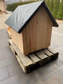 Sprzedam budę dla psa OCIEPLONA