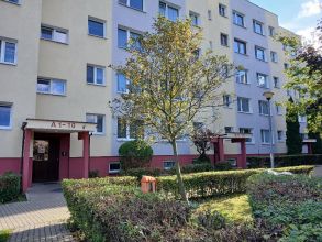 Rozkładowe mieszkanie na Milewskiego