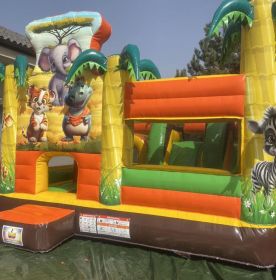 Wynajem Dmuchańców