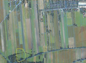 Sprzedam łąkę Turek - Chełmońskiego