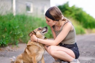 Tores - niekonfliktowy, rodzinny psiak!