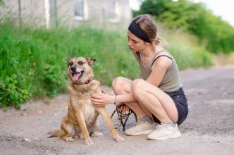 Tores - niekonfliktowy, rodzinny psiak!