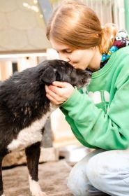 Wania - kochany psiak szuka domu!