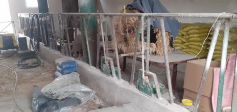 Przegrody Stanowiska Wygrodzenia Dla Bydła