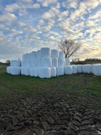 Sprzedam sianokiszonkę