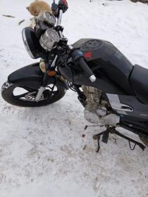 Romet zetka 125 2014r