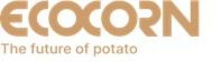 Sales Operations & Support / SPECJALISTA DS SPRZEDAŻY