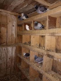 Okazja witam sprzedam 10 sztuk pocztowych