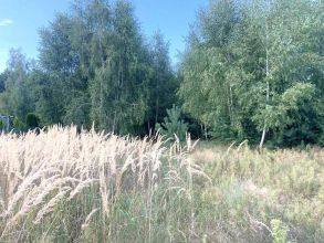 działka w Grabieńću na sprzedaż