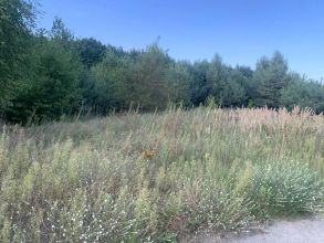 działka w Grabieńću na sprzedaż