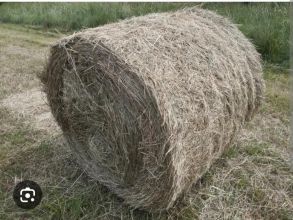Sprzedam siano w balach