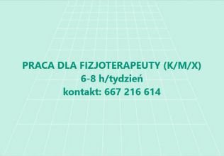 FIZJOTERAPEUTA (K/M/X) 6-8 h tygodniowo - Władysławów