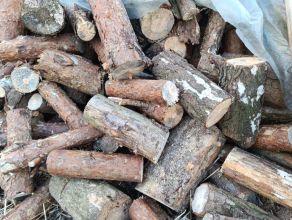 Drewno na opał