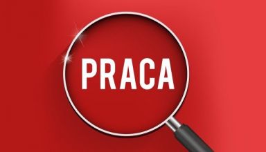 2 chłopaków szuka pracy