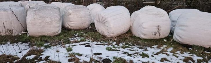 Sprzedam sianokiszonkę