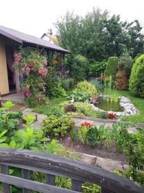 Sprzedam działkę ROD „ Źródełko”