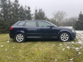 Audi a3 8p 2.0 tdi dsg