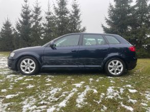 Audi a3 8p 2.0 tdi dsg