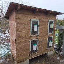 Sprzedam klapkę dla Kulików