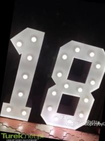 Wynajmę cyfrę 18 led