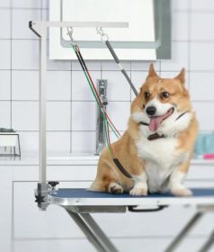 Stojak do strzyżenia psów