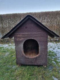 Oddam budę dla psa za darmo