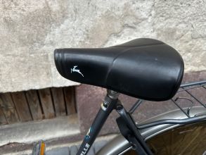 Rower Gazelle koła 28