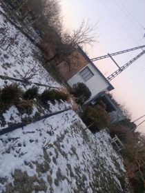 Sprzedam działkę na ROD GORNIK