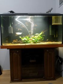 Sprzedam akwarium