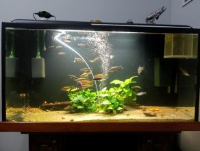 Sprzedam akwarium