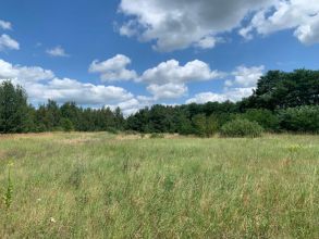 Działka pod działalność - przy drodze 92 gm. Krzymów