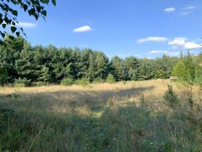 Posiadłość na sprzedaż - Czarny Bród gm Grodziec