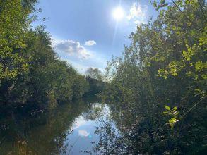 Posiadłość na sprzedaż - Czarny Bród gm Grodziec