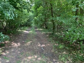 Działka na sprzedaż Albertów