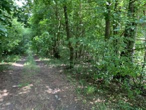 Działka na sprzedaż Albertów