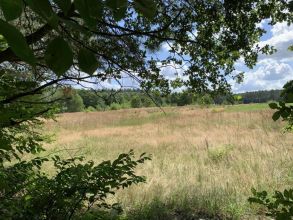 Działka na sprzedaż Albertów