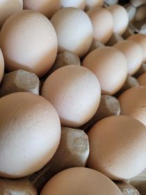 Sprzedam jajka