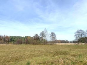 Działka Rogowie na sprzedaż