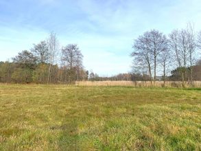 Działka Rogowie na sprzedaż