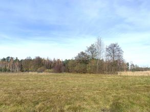 Działka Rogowie na sprzedaż