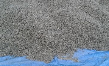 Wysłodki buraczane suche