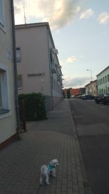 Sprzedam mieszkanie 72,05 m2 w Turku ul.Szkolna 1