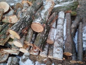 Drewno opałowe