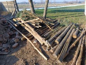 Drzewo stemple deski