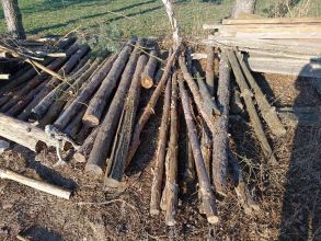 Drzewo stemple deski