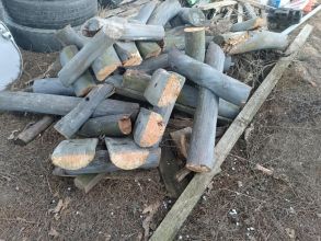 Drzewo stemple deski