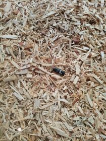 Drewno kominkowe opałowe