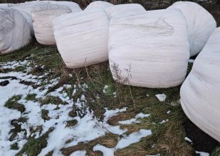 Sprzedam sianokiszonkę