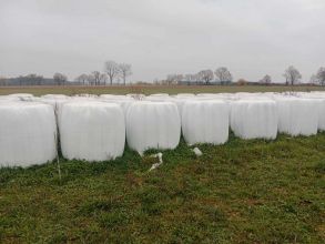 Sprzedam Sianokiszonkę